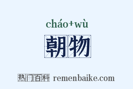 朝物是什么意思的图片